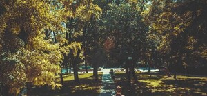 Фотофакт: на площади ВОВ появились гигантские листья и новая зелень