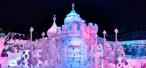 Приходи посмотреть: в центре Киева пройдет выставка ледовых скульптур