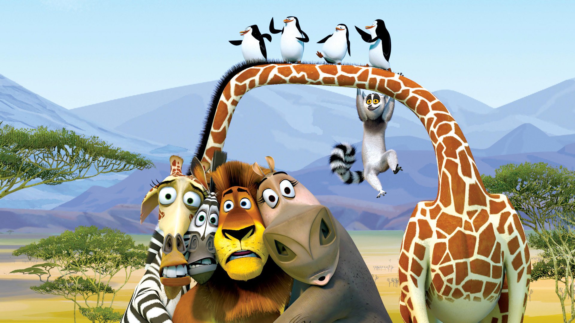 Кадр из мультфильма "Мадагаскар"
