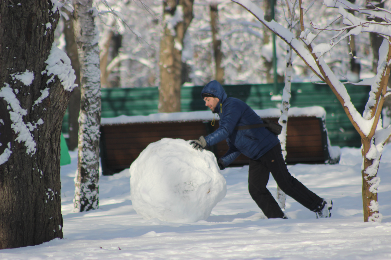 Новость - Досуг и еда - Мороз и солнце: Харьков засыпало снегом