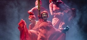 Дончане послушают «Монологи вагины»