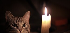 Перелік адрес: де у Львові не буде світла 1 лютого