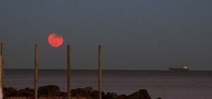 Одесситы наблюдали суперлуние и кровавую луну: смотри, как это красиво