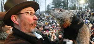 Вместо сурков: на выходных в Экопарке гадать на весну будут ворона и поросенок