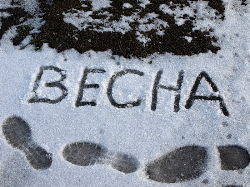 В Харькове передают снег. Фото: twitter.com