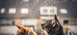 Кому залишили: у Львові вимкнули опалення