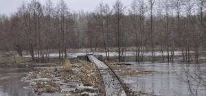 Ищи заброды: вблизи Полтавщины три реки вышли с берегов
