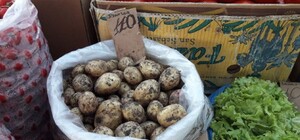 В продаже появилась первая молодая картошка: одесситов шокируют цены