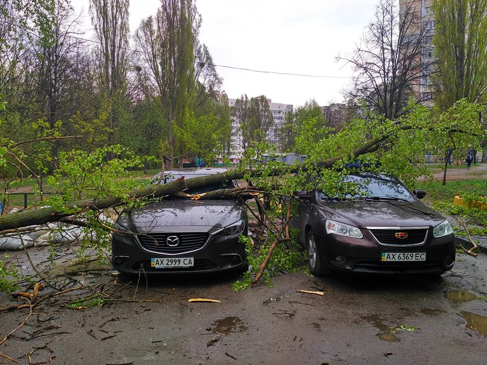 Дерево упало на машину