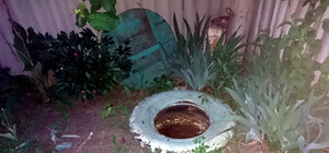 Труп в канализации: под Харьковом полиция поймала убийцу