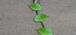 Давай по новой: под Харьковом активисты заставили дорожников переложить асфальт