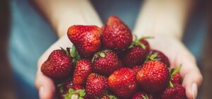 Налетай, подешевело: в Харькове падают цены на клубнику