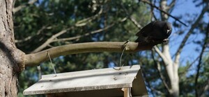 Фотофакт: как получить 