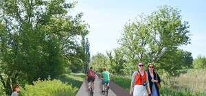 Велодорожки, пикники, стрит-арт: горожане создали проект преобразования Харькова