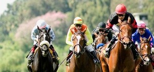 Приходи смотреть: на Киевском ипподроме пройдет большой спортивный праздник