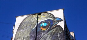 В Святошинском районе жители дома испортили мурал утеплением: фото