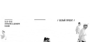 Фотовыставка Ирины Волгаревой «Белый проект»