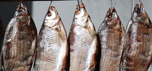 Осторожней с рыбой: под Харьковом женщина заболела ботулизмом