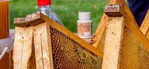 Любиш медок: у замку на Львівщині відбудеться фестиваль пасічників