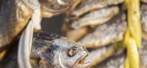 Смерть от ботулизма в Харькове: стало известно, где продавали зараженную рыбу