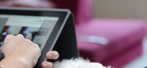 Крупный интернет-провайдер сообщил о перебоях в работе: адреса