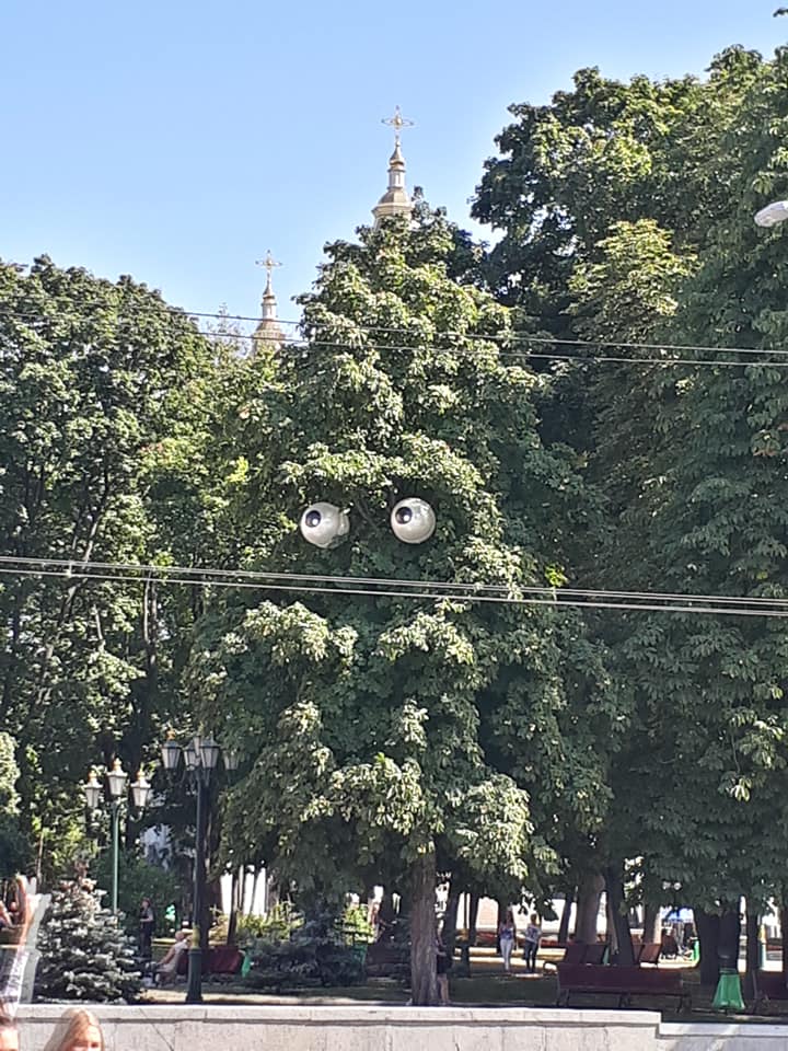 В Харькове к дереву прикрепили глаза. Фото: соцсети