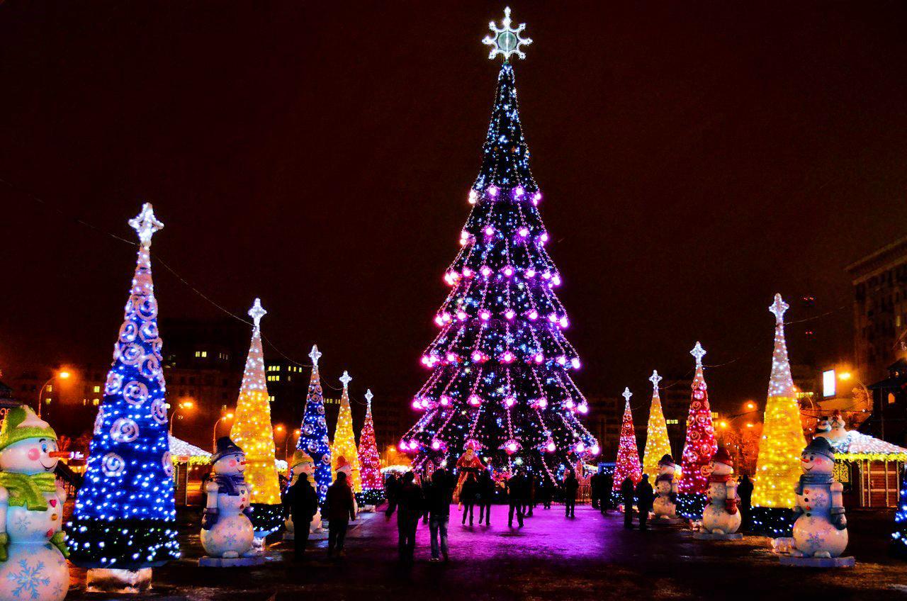 Новогодняя елка в Харькове обойдется в 2,89 миллиона гривен