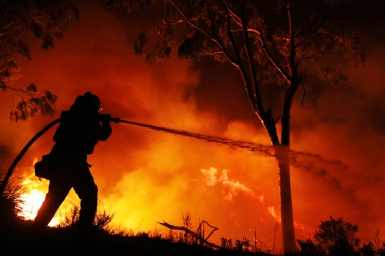 Под Харьковом 1 сентября загорелся лес.