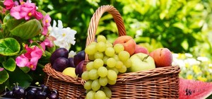 Экологическая катастрофа: харьковчанам не рекомендуют покупать херсонские фрукты и овощи