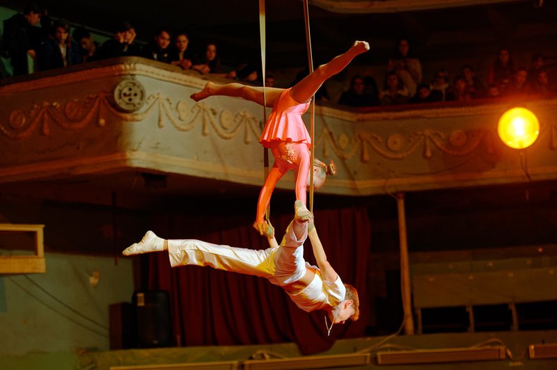 В Харькове пройдут бесплатные экскурсии в цирк. Фото: Twitter @OksanaKharkiv