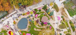 Целое море цветов: в Фельдман Экопарк откроется Бал хризантем