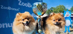 Как это было: в Фельдман Экопарк проводили сентябрь грандиозной выставкой собак