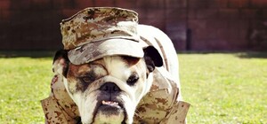 На любой размер: в Днепре на Курчатовском рынке продают военную форму