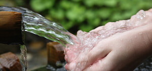 Не пей оттуда: в Харькове обнаружили опасный родник