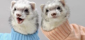 Коли і на скільки: у Львові подорожчає тепло