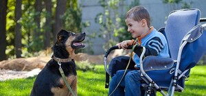 Поддержи и ты: воскресенье в Фельдман Экопарк посвятят особым людям