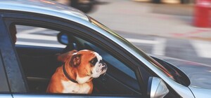 Обирай місце: у Львові з'явиться сім нових паркінгів