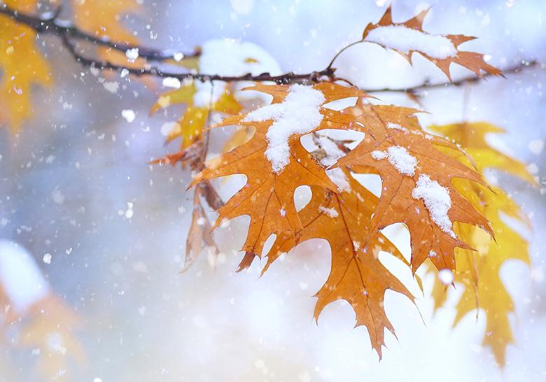 Погода на неделю: в Харькове выпадет первый снег