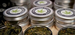 В Украине выдали первую лицензию на лекарства из марихуаны