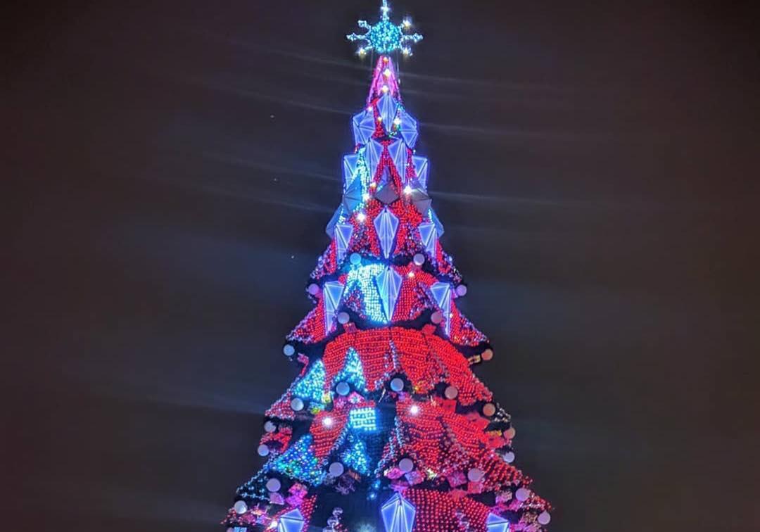 Новая новогодняя елка на площади Свободы в Харькове. Фото: Александр Голтвян