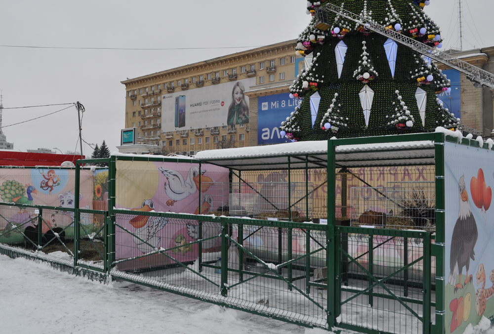 На площади Свободы в Харькове открыли мини-зоопарк. Фото: zoo.kharkov.ua