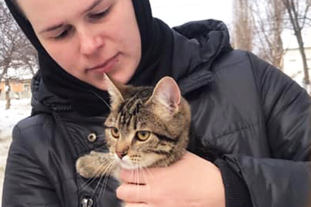 В Харькове спасли домашнего кота, замерзавшего на дереве. Фото: facebook.com/spt.kh/