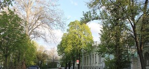 Успеешь: одностороннее движение по Парковой дороге продлили на час