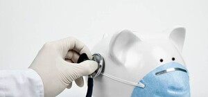 Первые жертвы: от 