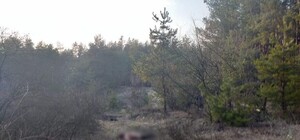 Труп в лесу: под Харьковом зарезали военнослужащего