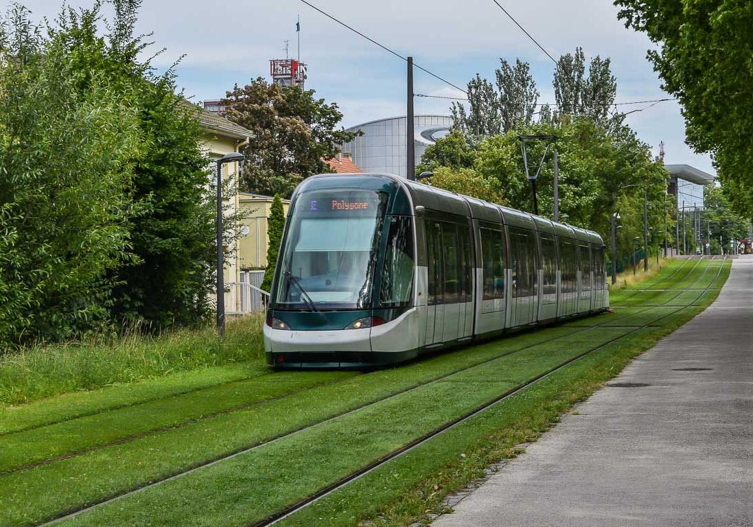 Минрегион хочет обустроить в украинских городах зеленые зон у трамвайных путей по примеру Европы / Andrey Mochichuk