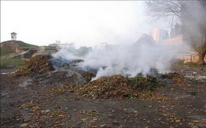 Пол-Алексеевки в дыму из-за горящих листьев.