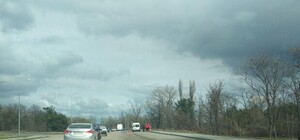 Жуть какая: на Хортице казак упал с лошади и погиб (ВИДЕО)