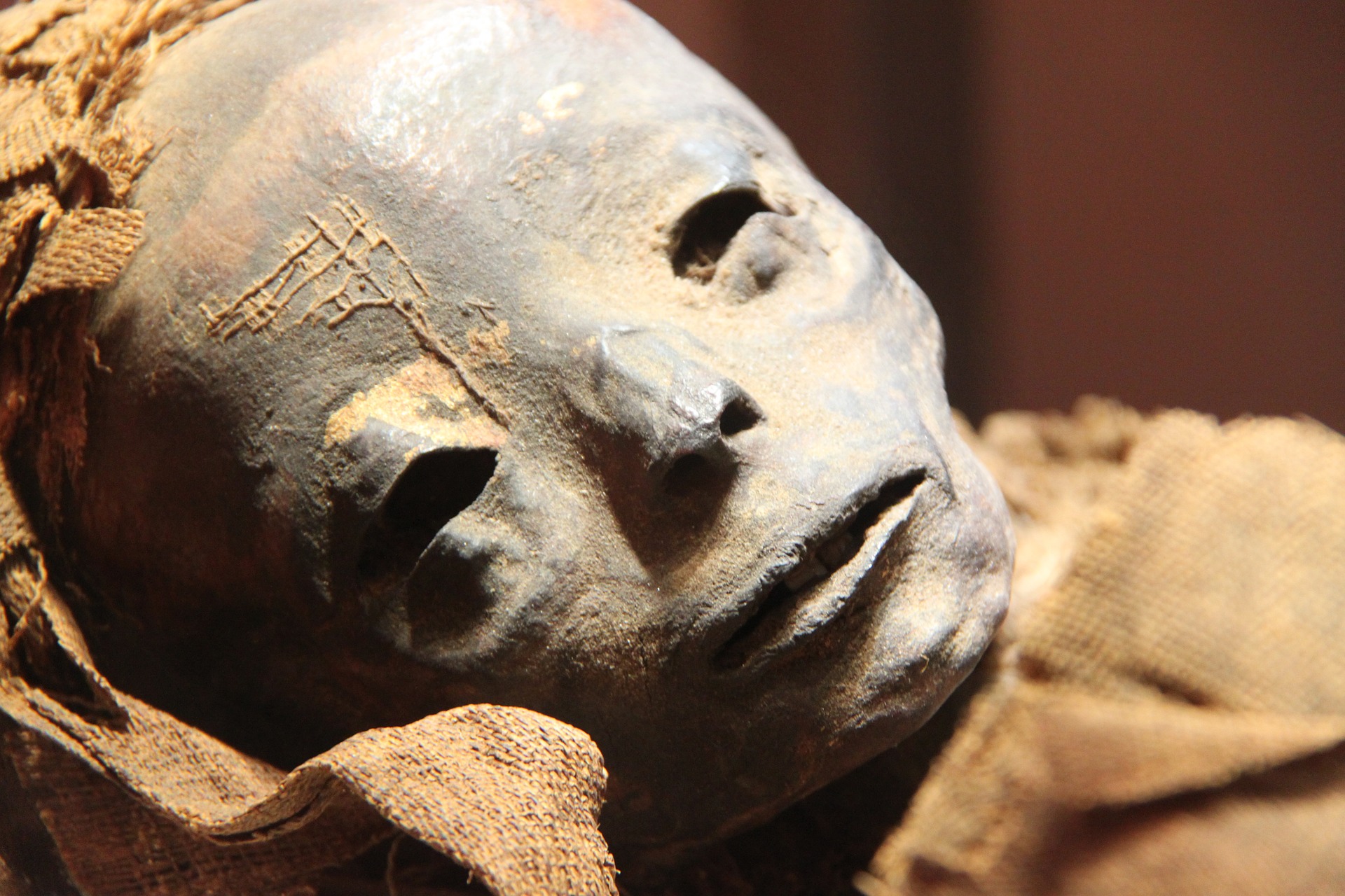 В Харькове у карьера нашли мумифицированное тело. Фото иллюстративное