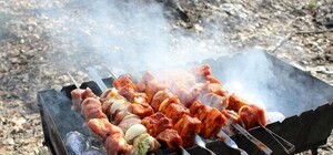 Готовь маринад и шампуры: где в столице можно пожарить шашлыки